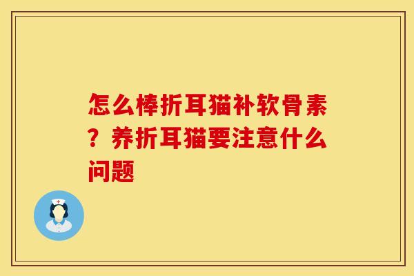 怎么棒折耳猫补软骨素？养折耳猫要注意什么问题