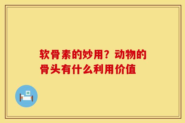 软骨素的妙用？动物的骨头有什么利用价值