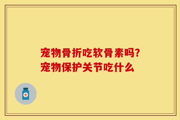 宠物骨折吃软骨素吗？宠物保护关节吃什么