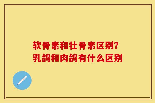 软骨素和壮骨素区别？乳鸽和肉鸽有什么区别