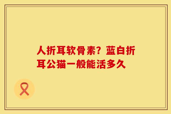 人折耳软骨素？蓝白折耳公猫一般能活多久