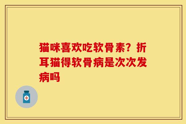 猫咪喜欢吃软骨素？折耳猫得软骨病是次次发病吗