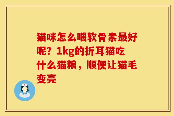 猫咪怎么喂软骨素最好呢?1kg的折耳猫吃什么猫粮,顺便让猫毛变亮