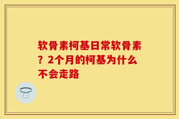 软骨素柯基日常软骨素?2个月的柯基为什么不会走路 软骨素柯基日常软骨素?2个月的柯基为什么不会走路