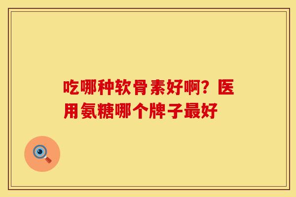 吃哪种软骨素好啊？医用氨糖哪个牌子最好