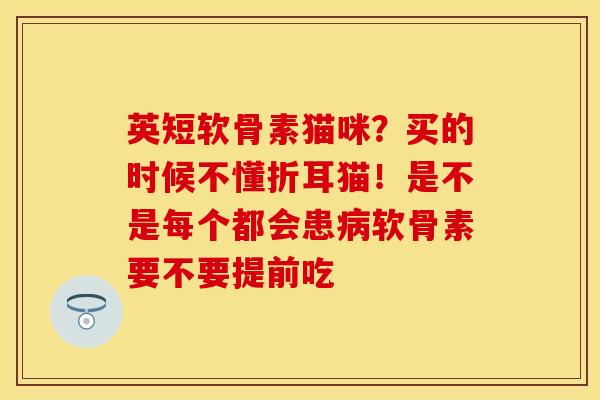 英短软骨素猫咪？买的时候不懂折耳猫！是不是每个都会患病软骨素要不要提前吃