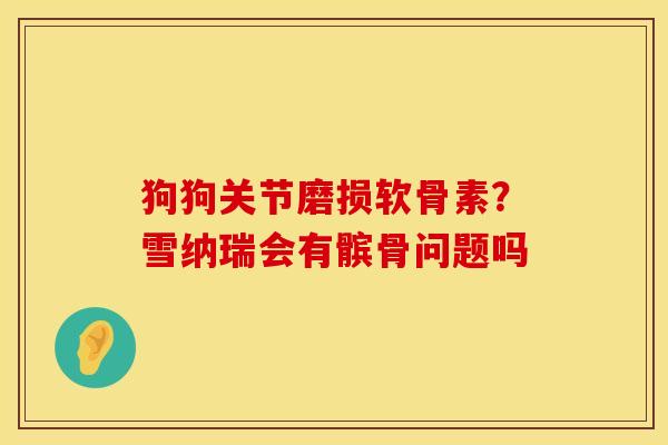 狗狗关节磨损软骨素？雪纳瑞会有髌骨问题吗
