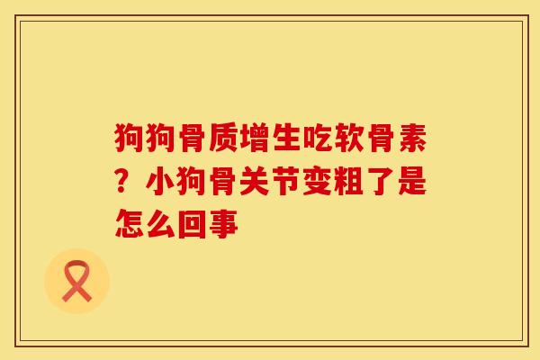 狗狗骨质增生吃软骨素？小狗骨关节变粗了是怎么回事