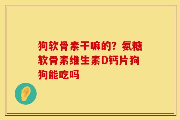 狗软骨素干嘛的?氨糖软骨素维生素D钙片狗狗能吃吗 狗软骨素干嘛的?氨糖软骨素维生素D钙片狗狗能吃吗
