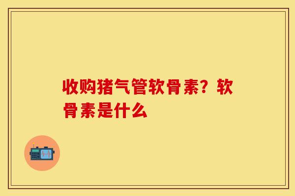 收购猪气管软骨素？软骨素是什么