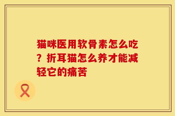 猫咪医用软骨素怎么吃？折耳猫怎么养才能减轻它的痛苦