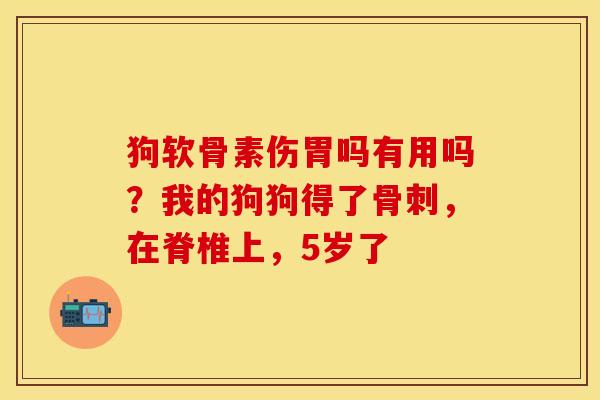 狗软骨素伤胃吗有用吗？我的狗狗得了骨刺，在脊椎上，5岁了