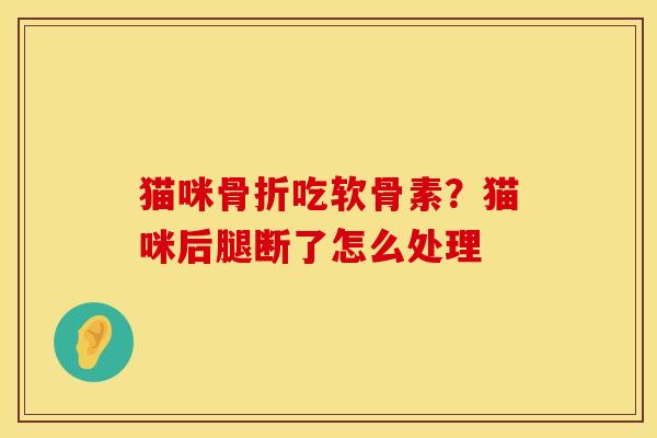 猫咪骨折吃软骨素？猫咪后腿断了怎么处理