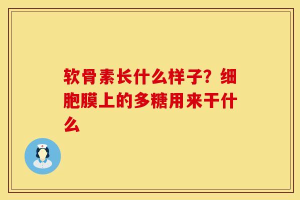 软骨素长什么样子？细胞膜上的多糖用来干什么