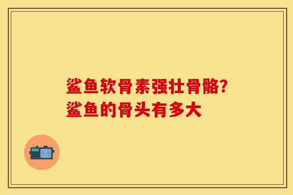 鲨鱼软骨素强壮骨骼？鲨鱼的骨头有多大