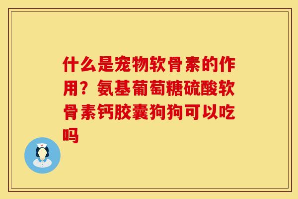 什么是宠物软骨素的作用？氨基葡萄糖硫酸软骨素钙胶囊狗狗可以吃吗