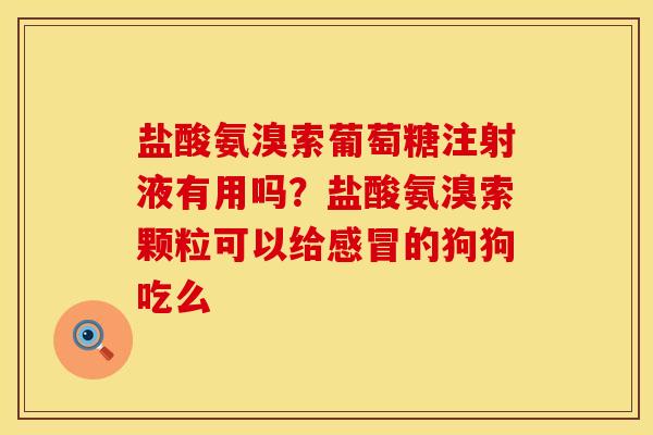 盐酸氨溴索葡萄糖注射液有用吗？盐酸氨溴索颗粒可以给感冒的狗狗吃么