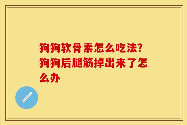 狗狗软骨素怎么吃法？狗狗后腿筋掉出来了怎么办