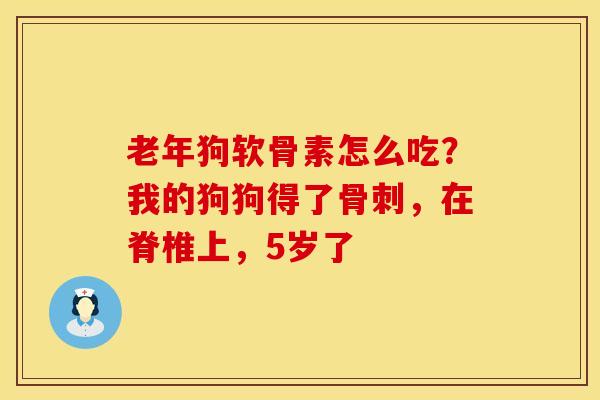 老年狗软骨素怎么吃？我的狗狗得了骨刺，在脊椎上，5岁了