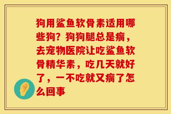 狗用鲨鱼软骨素适用哪些狗?狗狗腿总是瘸,去宠物医院让吃鲨鱼软骨精华素,吃几天就好了,一不吃就又瘸了怎么回事 狗用鲨鱼软骨素适用哪些狗?狗狗腿总是瘸,去宠物医院让吃鲨鱼软骨精华素,吃几天就好了,一不吃就又瘸了怎么回事
