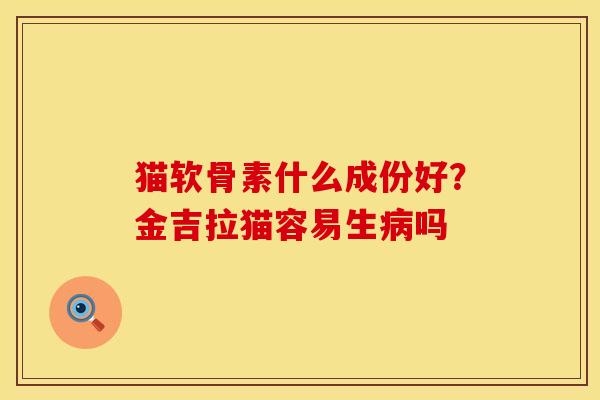 猫软骨素什么成份好？金吉拉猫容易生病吗
