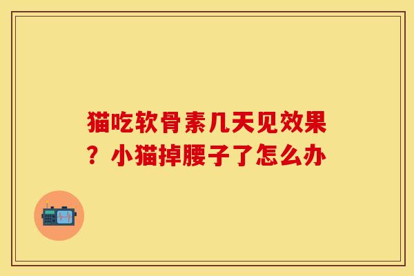 猫吃软骨素几天见效果？小猫掉腰子了怎么办