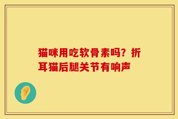 猫咪用吃软骨素吗？折耳猫后腿关节有响声