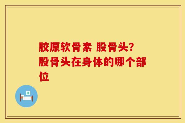 胶原软骨素 股骨头？股骨头在身体的哪个部位