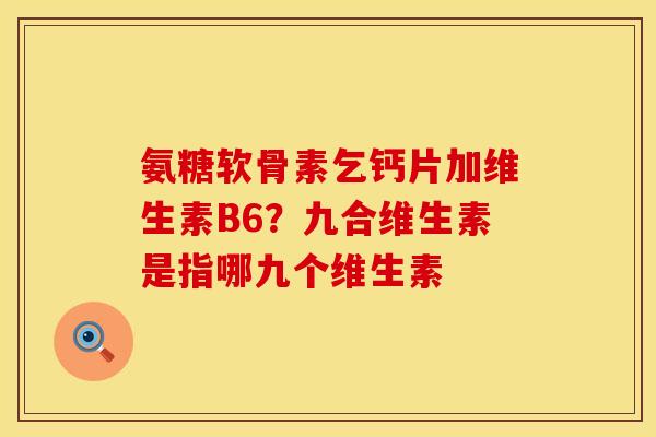 氨糖软骨素乞钙片加维生素B6？九合维生素是指哪九个维生素