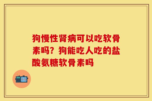 狗慢性肾病可以吃软骨素吗？狗能吃人吃的盐酸氨糖软骨素吗