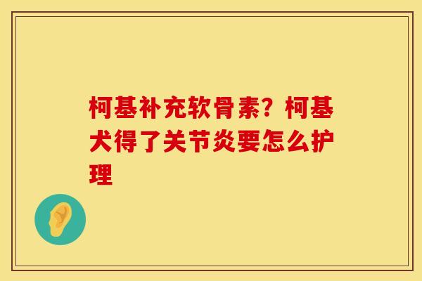 柯基补充软骨素？柯基犬得了关节炎要怎么护理