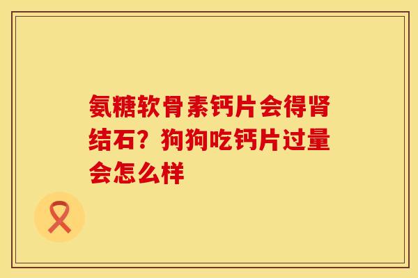 氨糖软骨素钙片会得肾结石？狗狗吃钙片过量会怎么样