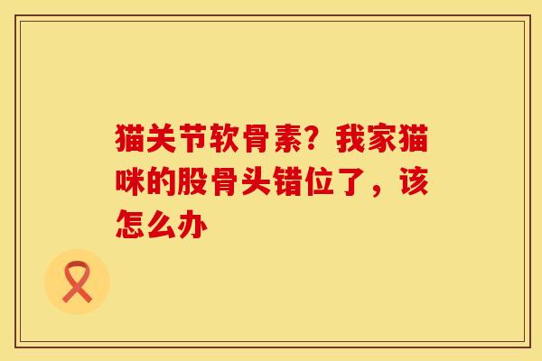 猫关节软骨素？我家猫咪的股骨头错位了，该怎么办