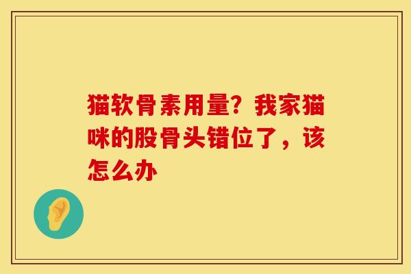 猫软骨素用量？我家猫咪的股骨头错位了，该怎么办