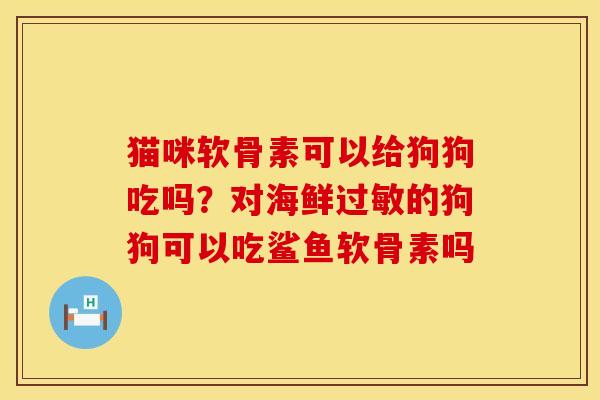 猫咪软骨素可以给狗狗吃吗？对海鲜过敏的狗狗可以吃鲨鱼软骨素吗