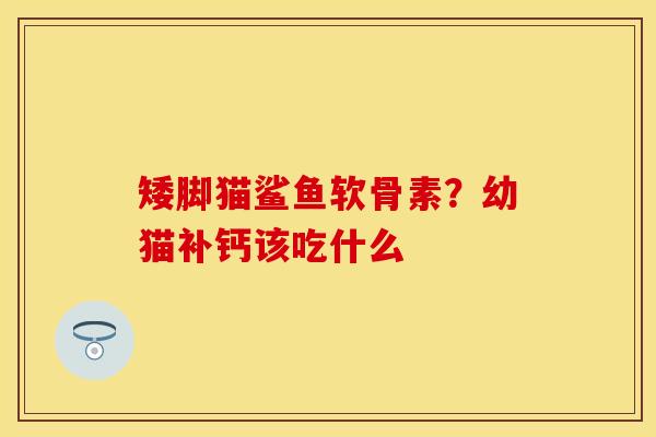 矮脚猫鲨鱼软骨素？幼猫补钙该吃什么