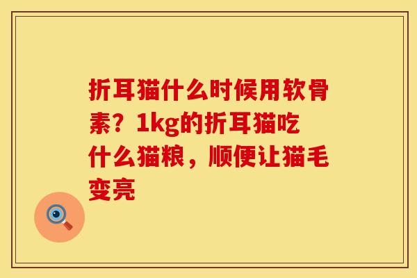 折耳猫什么时候用软骨素？1kg的折耳猫吃什么猫粮，顺便让猫毛变亮
