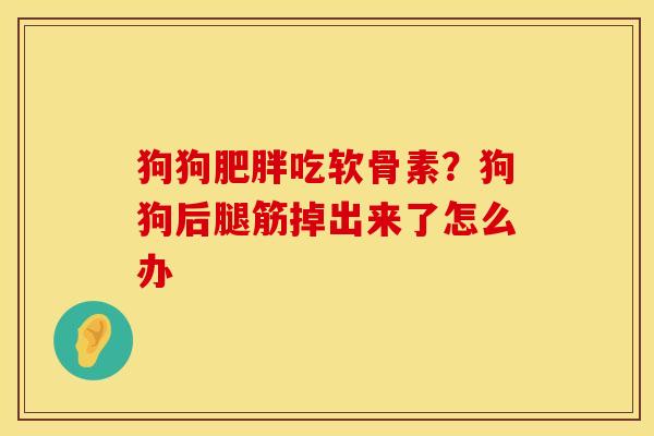 狗狗肥胖吃软骨素？狗狗后腿筋掉出来了怎么办