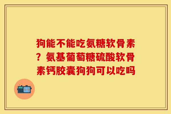 狗能不能吃氨糖软骨素？氨基葡萄糖硫酸软骨素钙胶囊狗狗可以吃吗