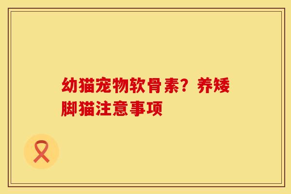 幼猫宠物软骨素？养矮脚猫注意事项