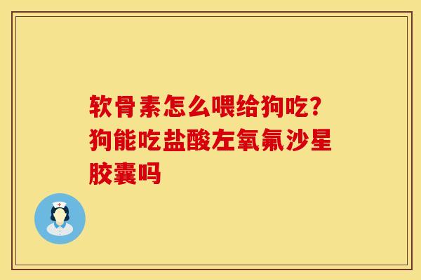 软骨素怎么喂给狗吃？狗能吃盐酸左氧氟沙星胶囊吗