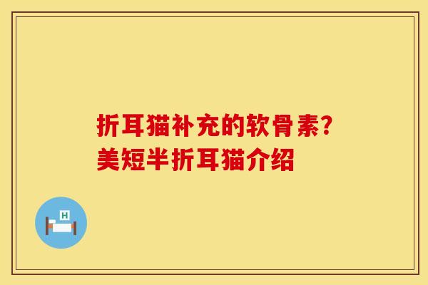 折耳猫补充的软骨素？美短半折耳猫介绍