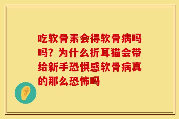 吃软骨素会得软骨病吗吗？为什么折耳猫会带给新手恐惧感软骨病真的那么恐怖吗