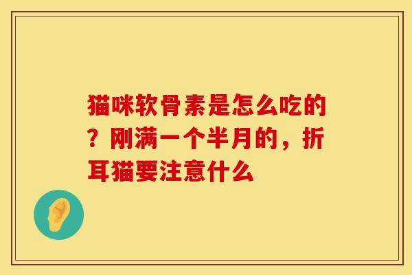 猫咪软骨素是怎么吃的?刚满一个半月的,折耳猫要注意什么