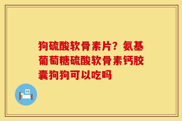 狗硫酸软骨素片？氨基葡萄糖硫酸软骨素钙胶囊狗狗可以吃吗