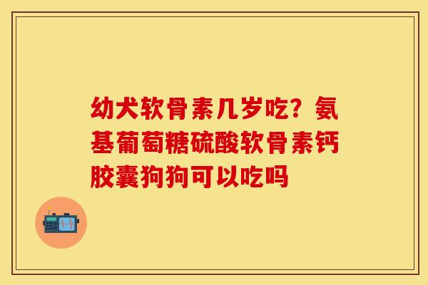 幼犬软骨素几岁吃？氨基葡萄糖硫酸软骨素钙胶囊狗狗可以吃吗