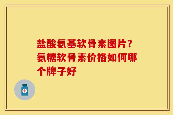 盐酸氨基软骨素图片？氨糖软骨素价格如何哪个牌子好