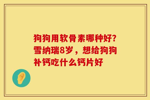 狗狗用软骨素哪种好？雪纳瑞8岁，想给狗狗补钙吃什么钙片好