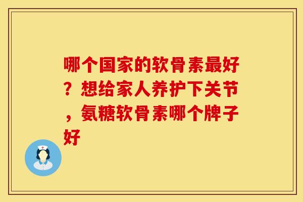 哪个国家的软骨素最好？想给家人养护下关节，氨糖软骨素哪个牌子好