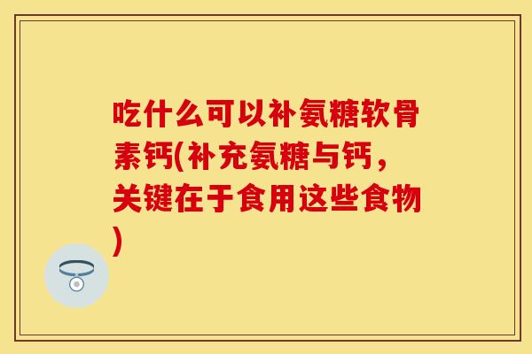 吃什么可以补氨糖软骨素钙(补充氨糖与钙，关键在于食用这些食物)